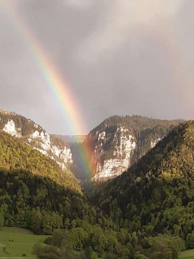 Appartamento Tiny De L'Aigle Villeret Esterno foto